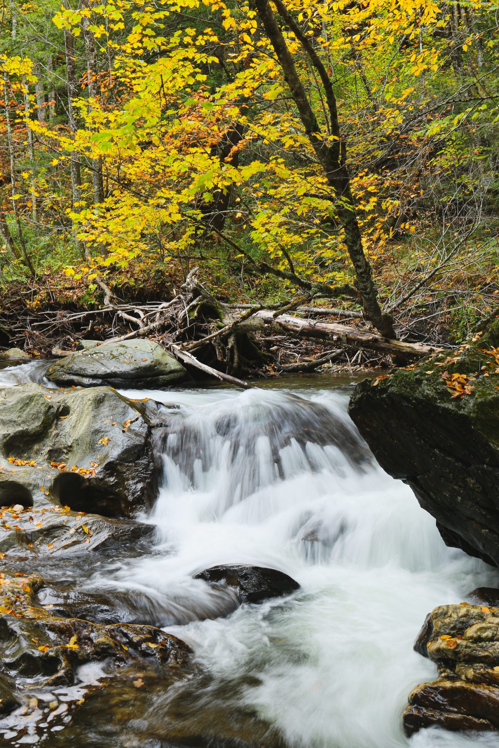 stream